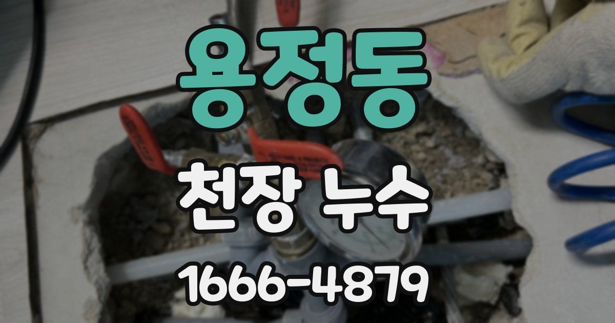 용정동 천장 누수