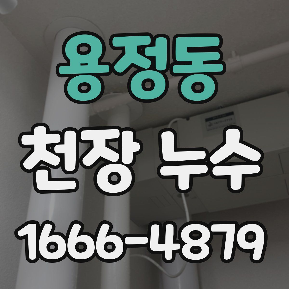 용정동 천장 누수