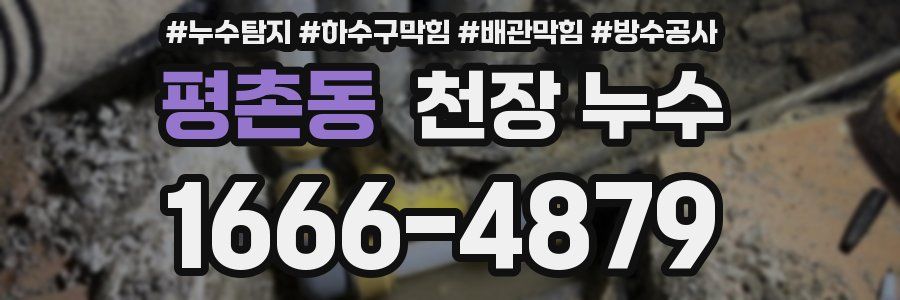 평촌동 천장 누수
