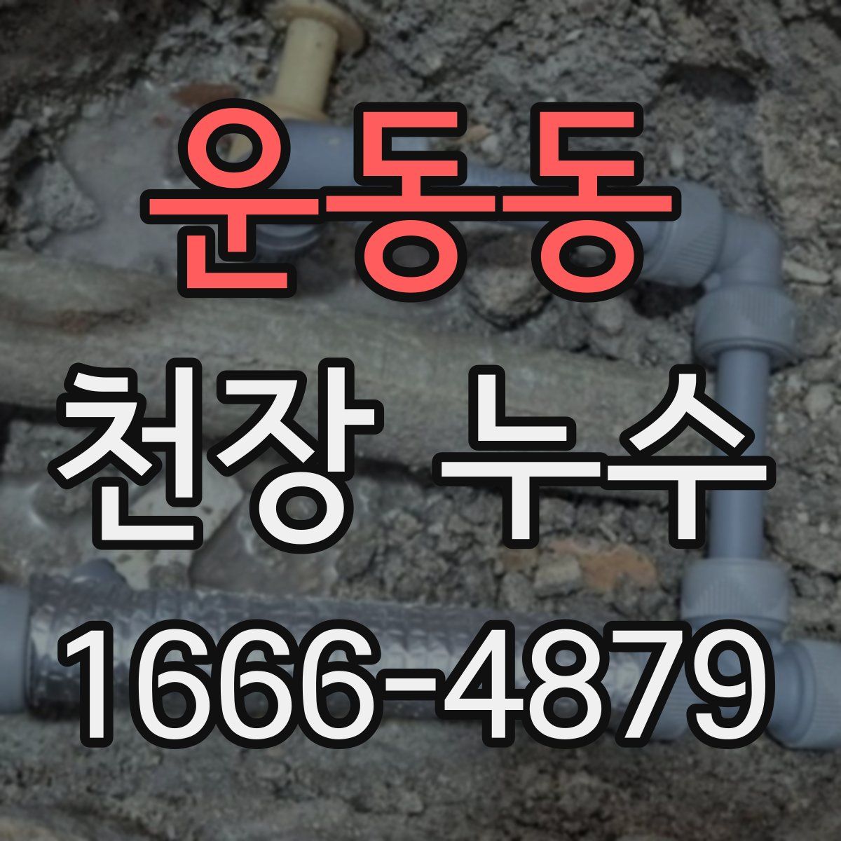 운동동 천장 누수