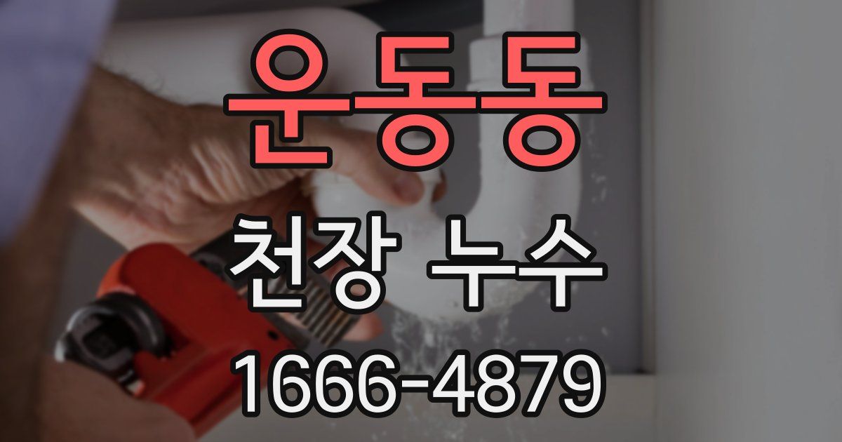 운동동 천장 누수