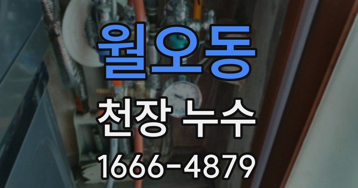 월오동 천장 누수