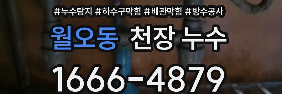 월오동 천장 누수