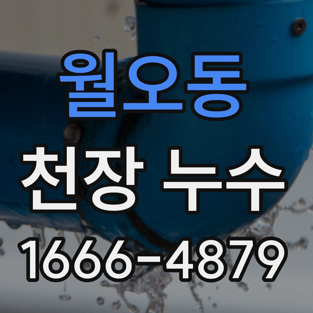 월오동 천장 누수