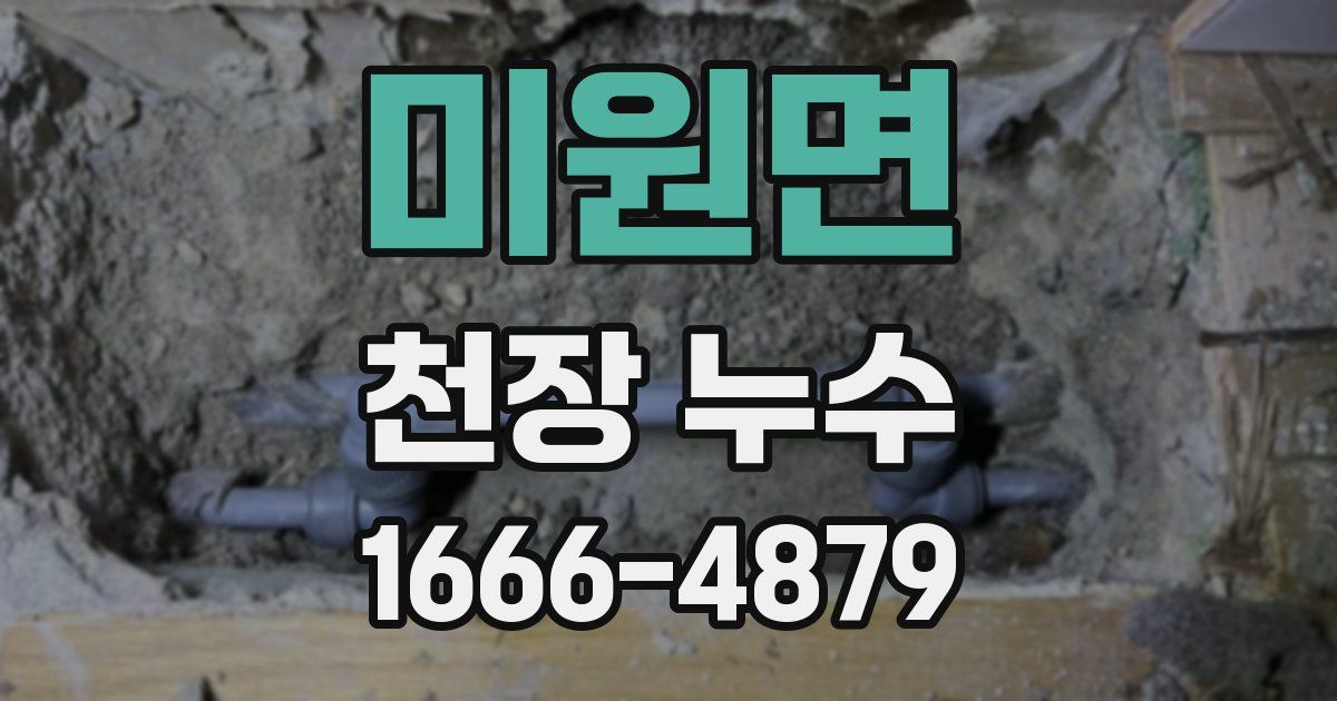 미원면 천장 누수