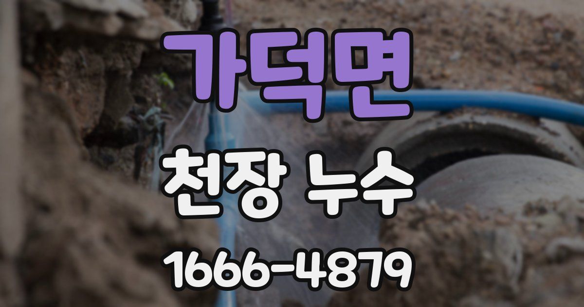가덕면 천장 누수