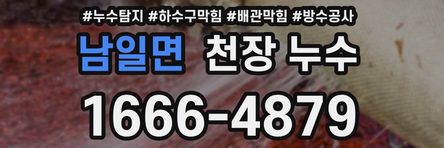 남일면 천장 누수