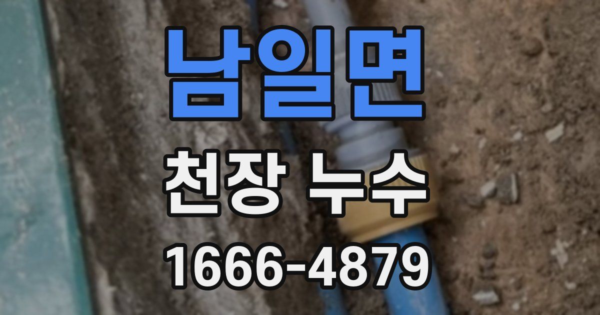 남일면 천장 누수