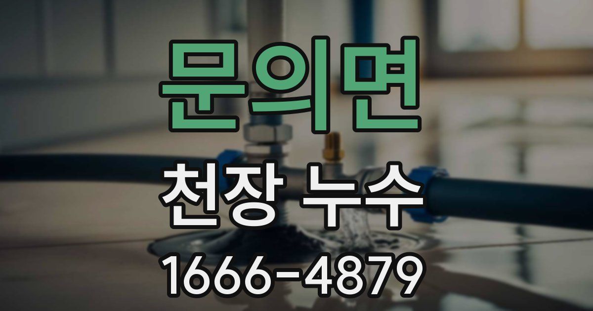 문의면 천장 누수