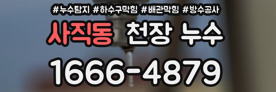 사직동 천장 누수