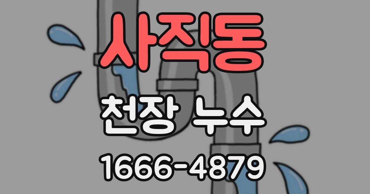 사직동 천장 누수