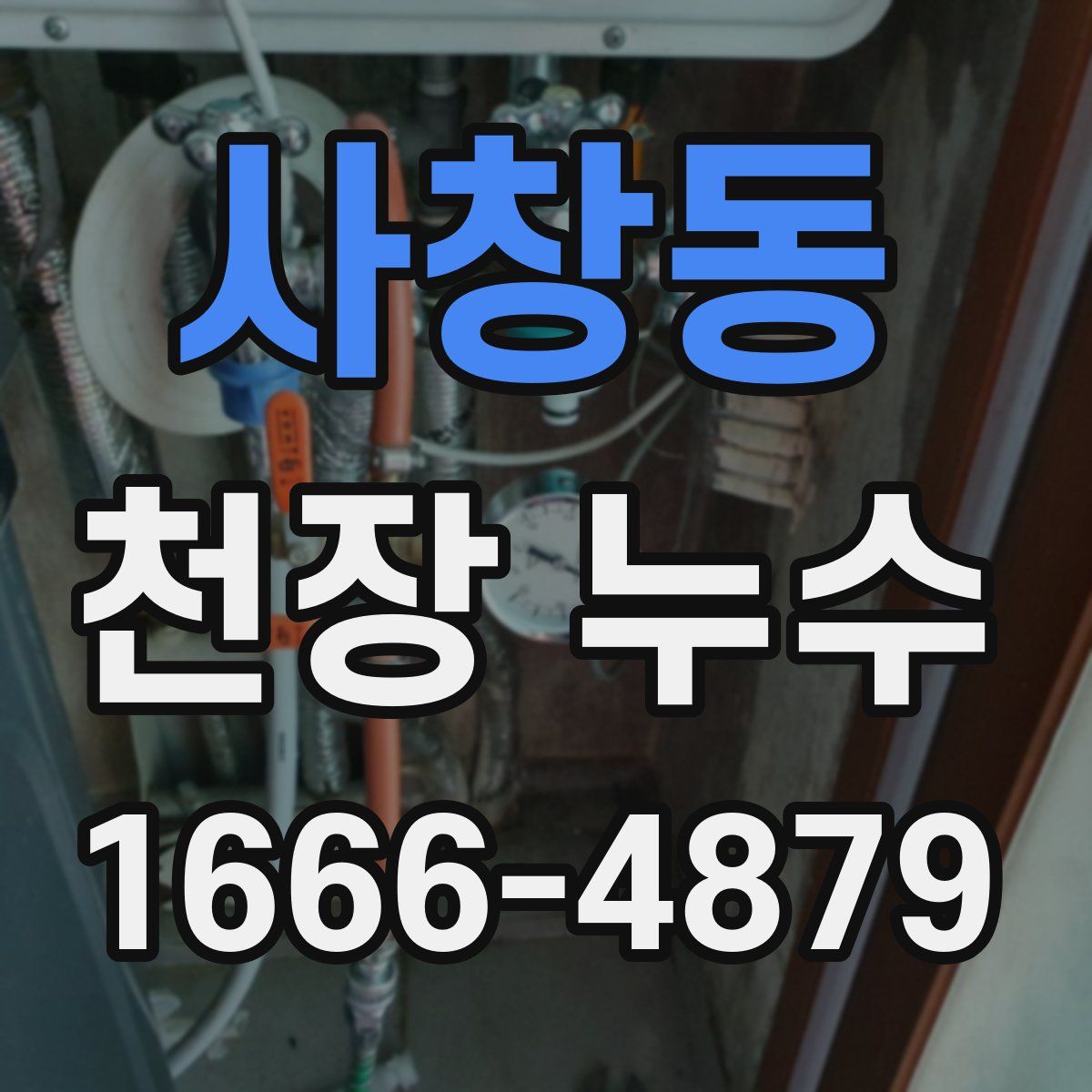 사창동 천장 누수