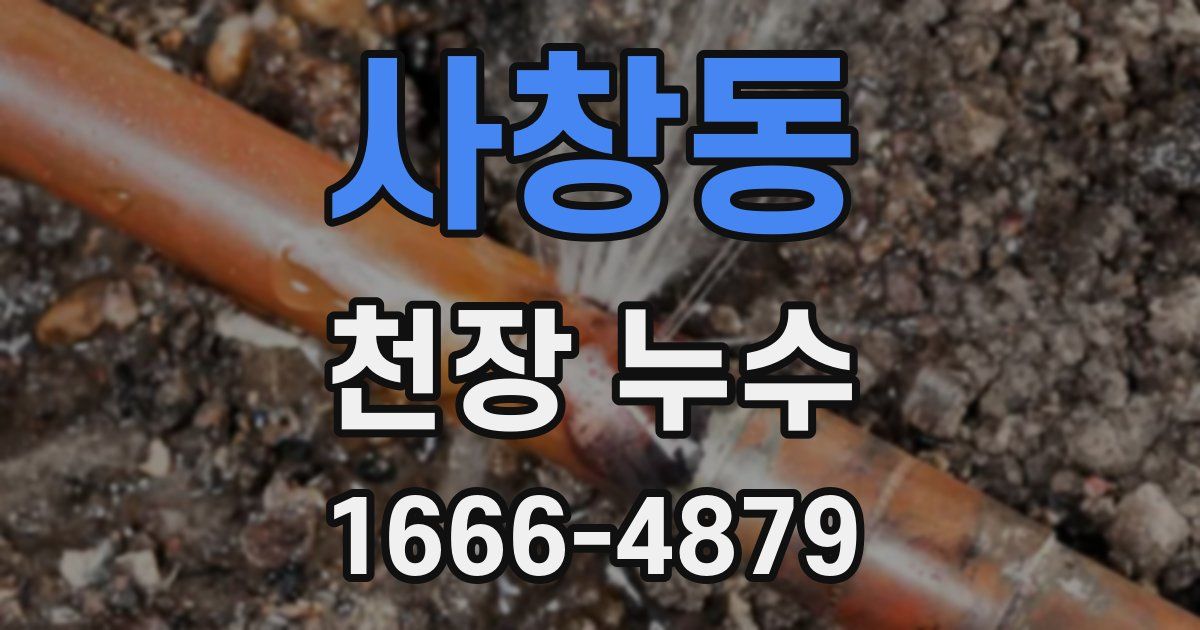 사창동 천장 누수