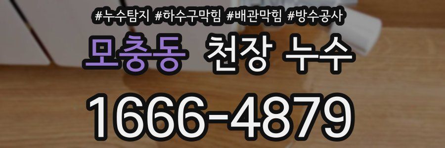 모충동 천장 누수