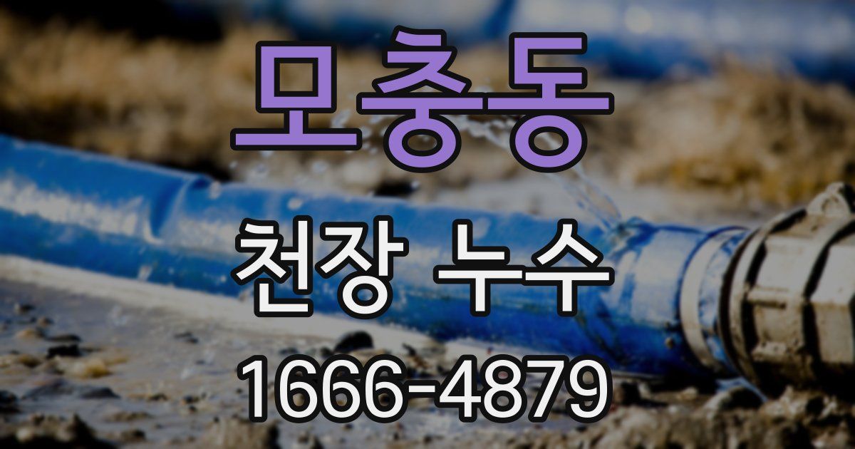 모충동 천장 누수