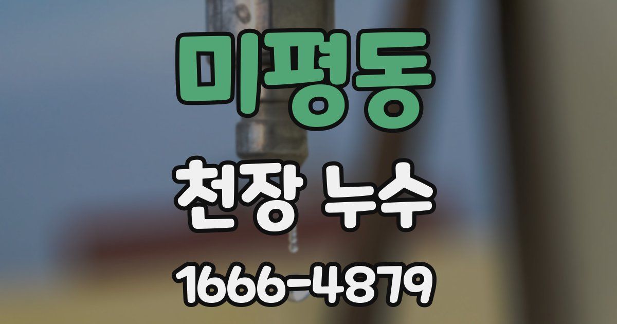 미평동 천장 누수
