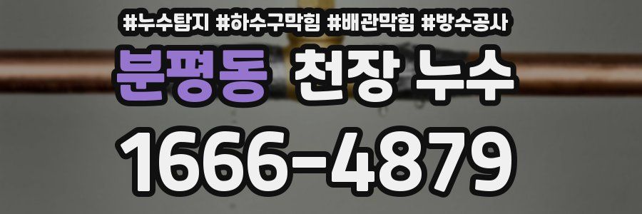 분평동 천장 누수