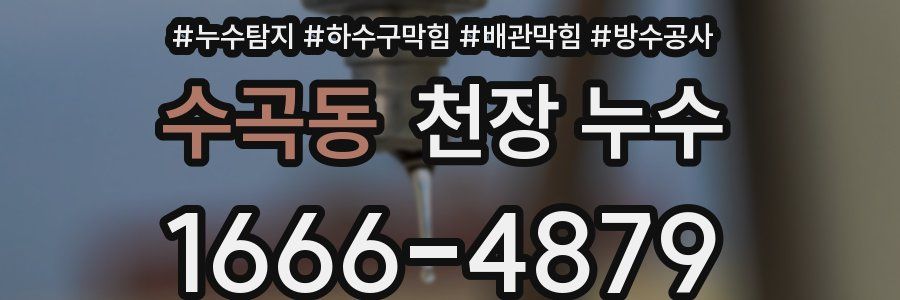 수곡동 천장 누수