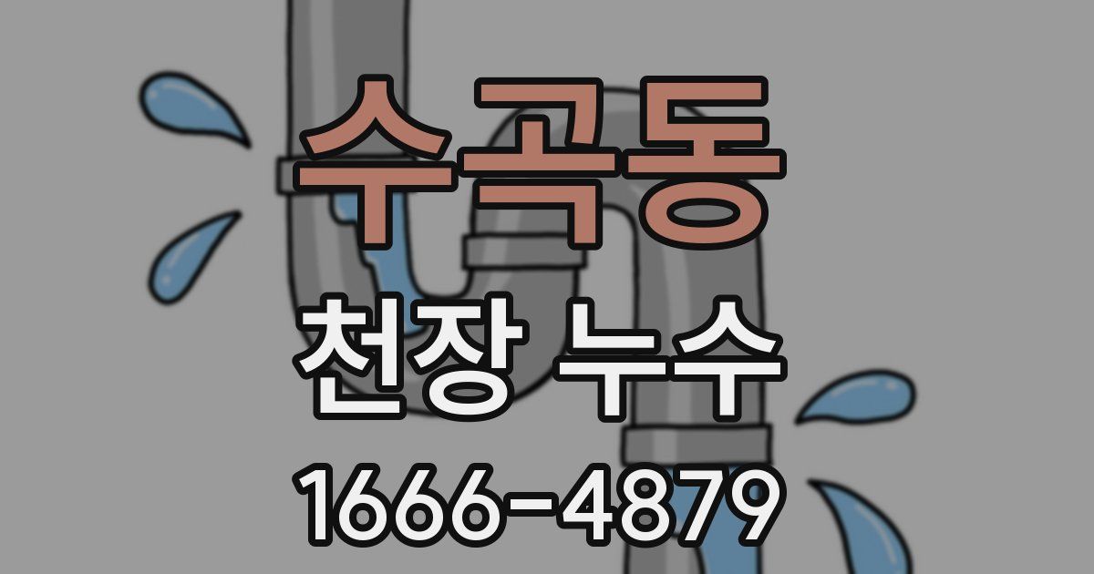 수곡동 천장 누수