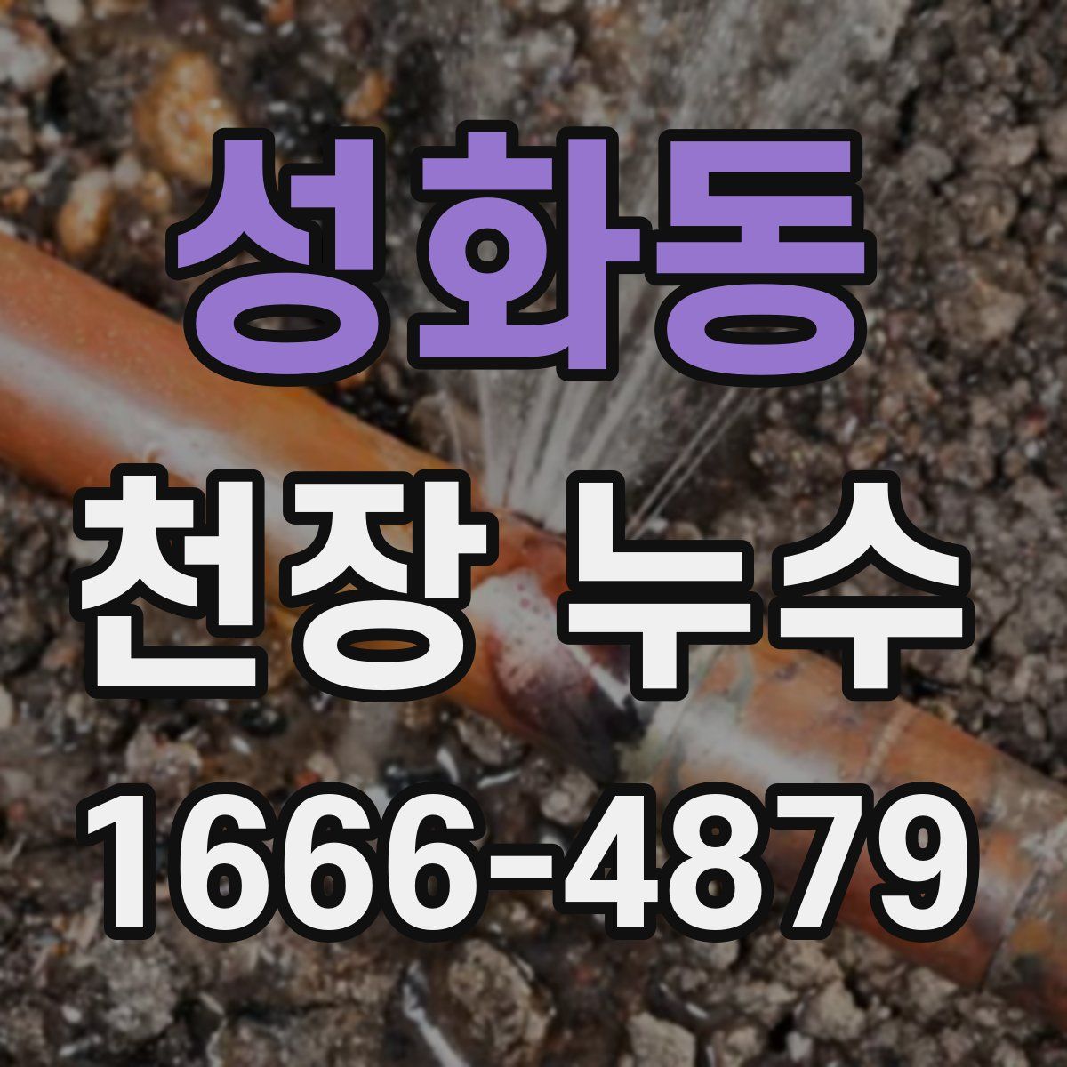 성화동 천장 누수