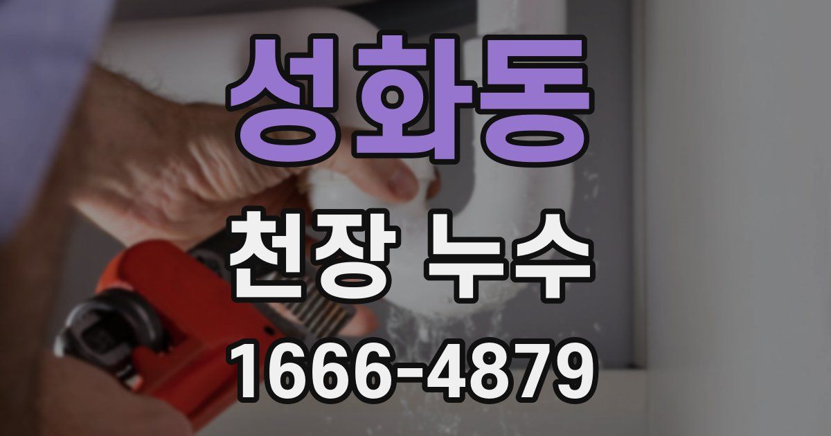 성화동 천장 누수