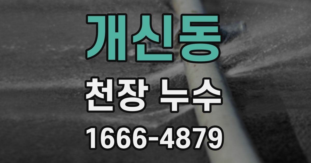 개신동 천장 누수