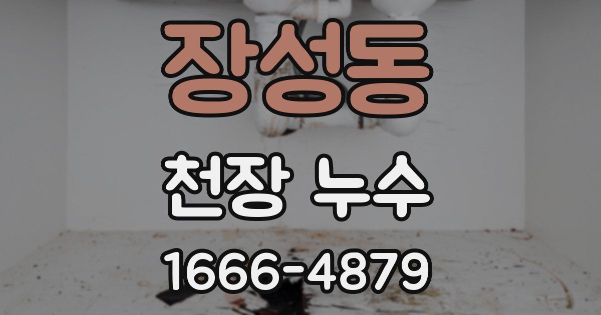 장성동 천장 누수