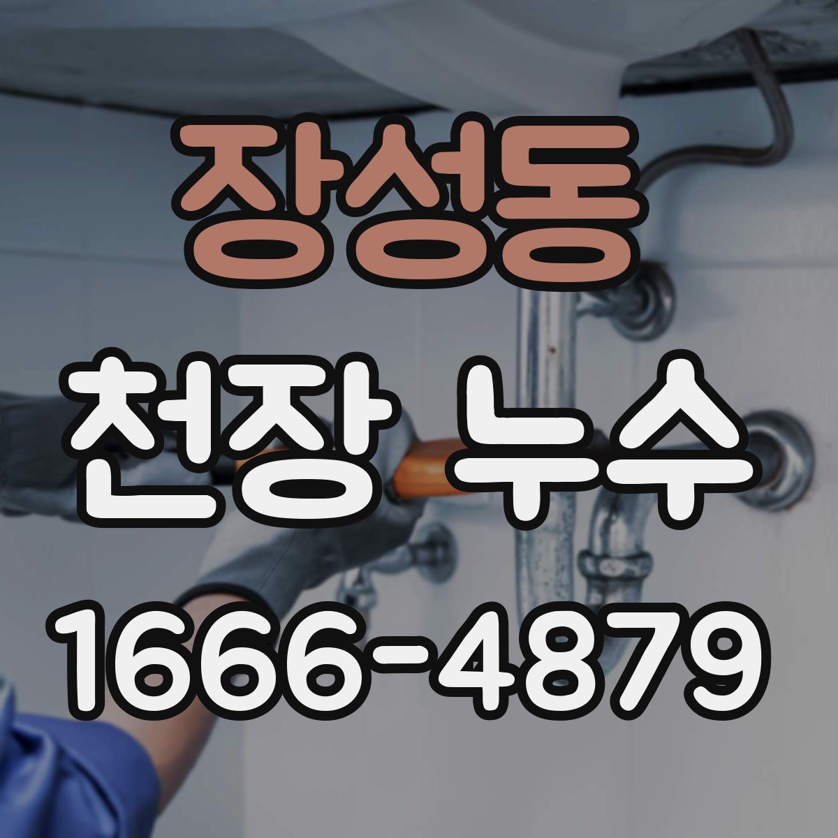 장성동 천장 누수