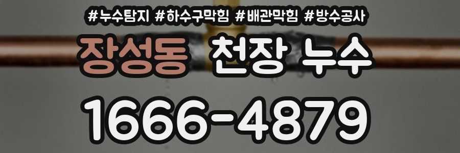 장성동 천장 누수