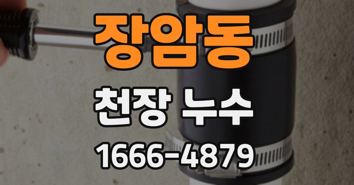 장암동 천장 누수
