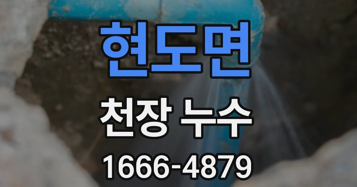 현도면 천장 누수