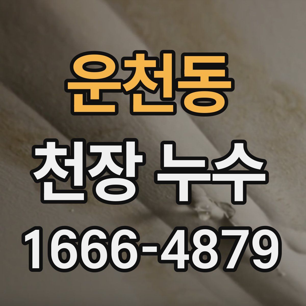 운천동 천장 누수