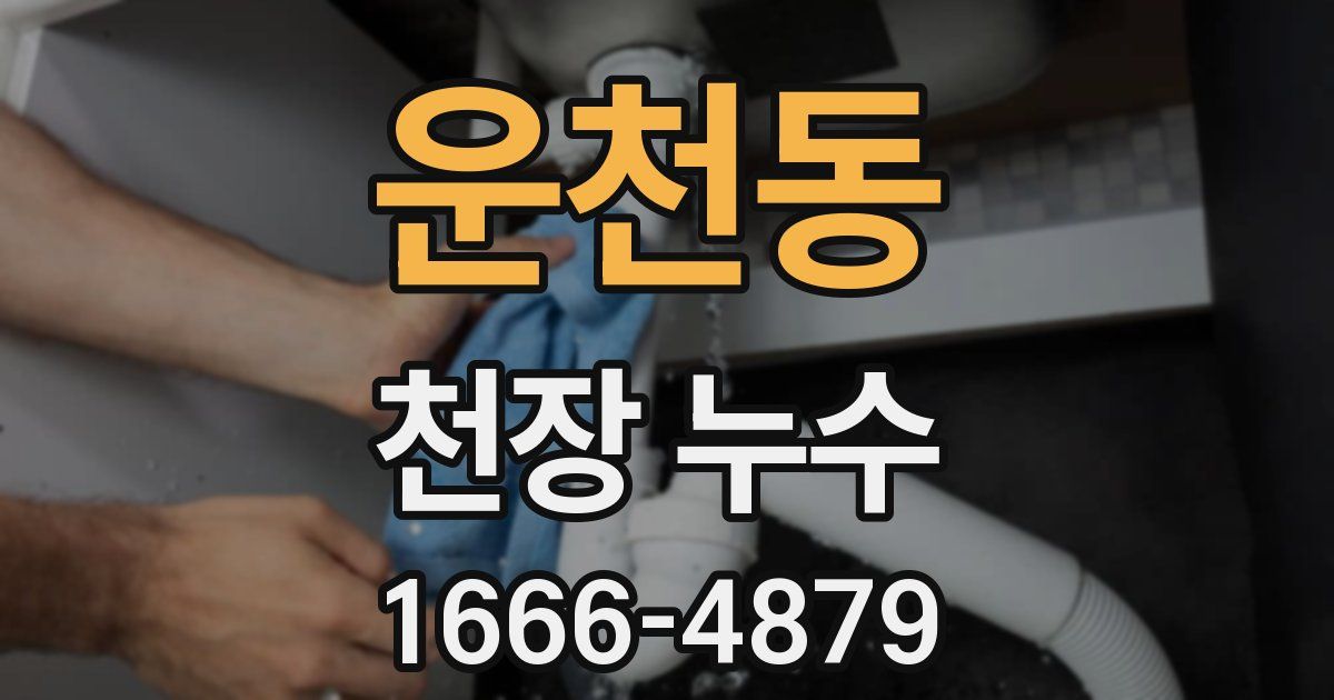 운천동 천장 누수