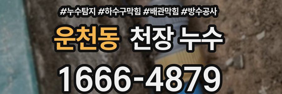운천동 천장 누수