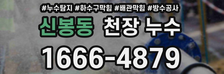 신봉동 천장 누수