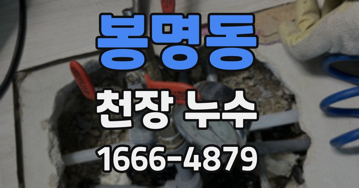 봉명동 천장 누수