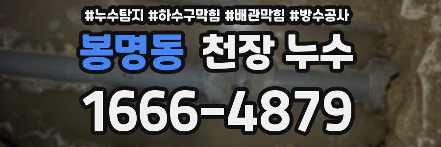 봉명동 천장 누수