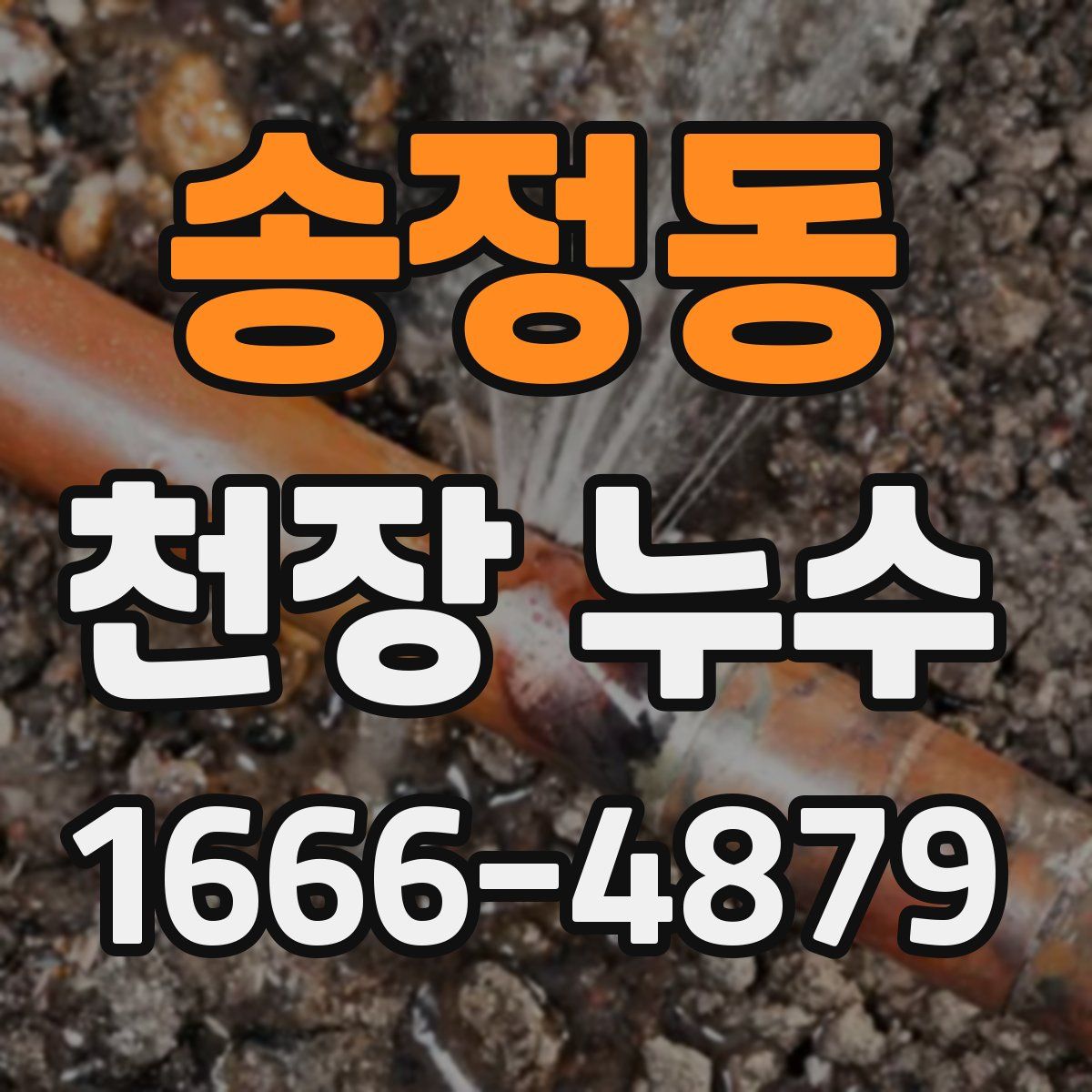 송정동 천장 누수