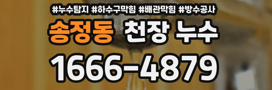 송정동 천장 누수