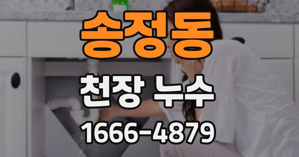 송정동 천장 누수