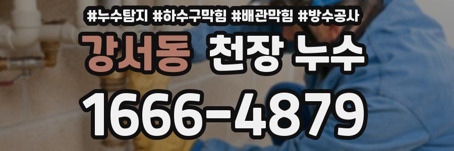 강서동 천장 누수