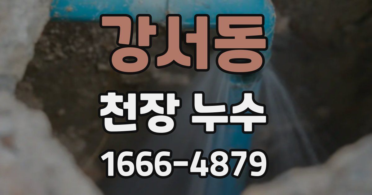 강서동 천장 누수