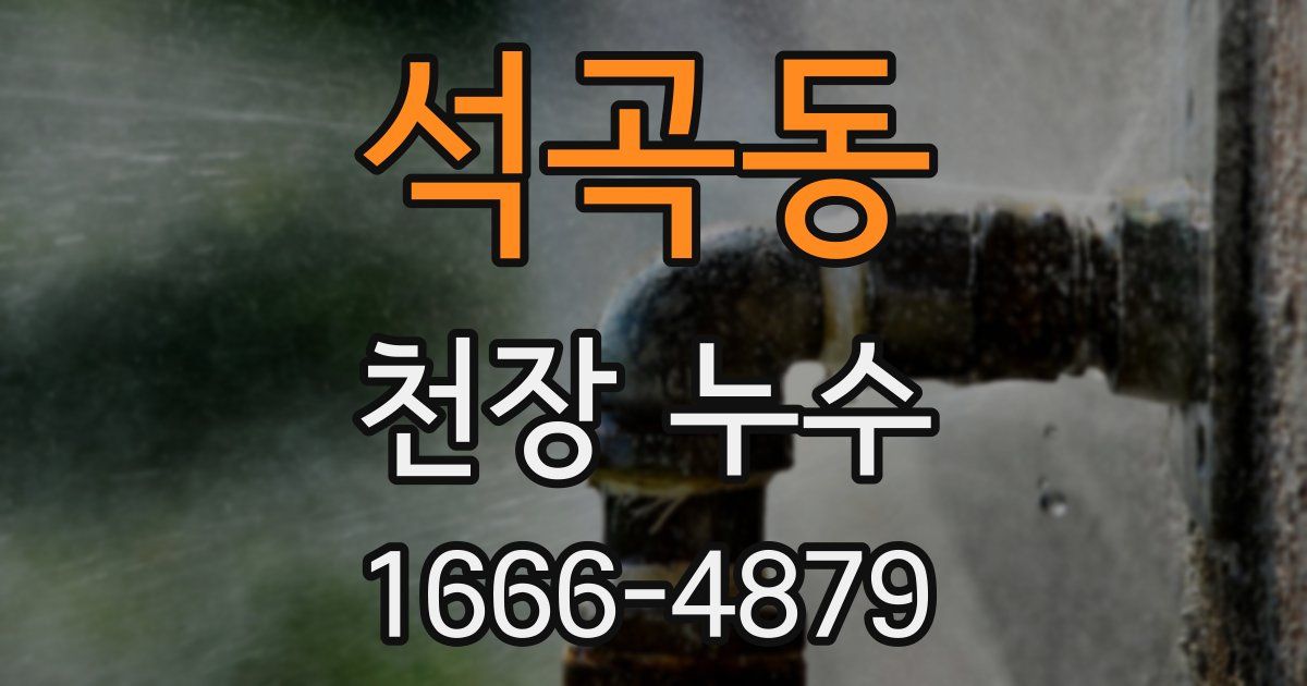 석곡동 천장 누수
