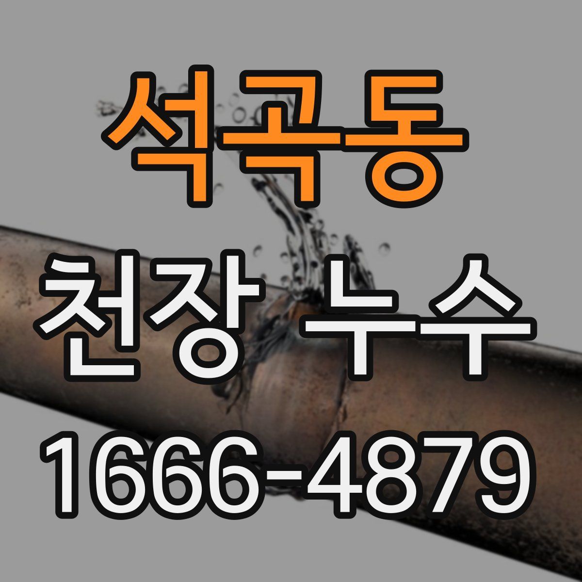석곡동 천장 누수