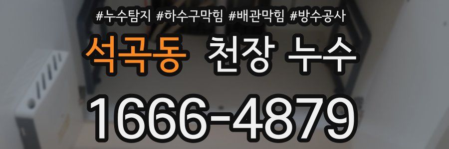 석곡동 천장 누수
