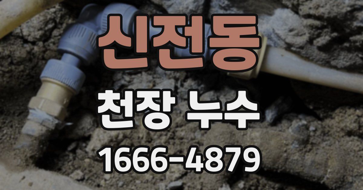 신전동 천장 누수