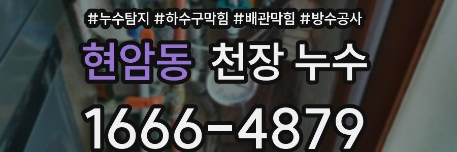 현암동 천장 누수