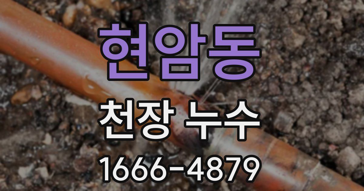 현암동 천장 누수