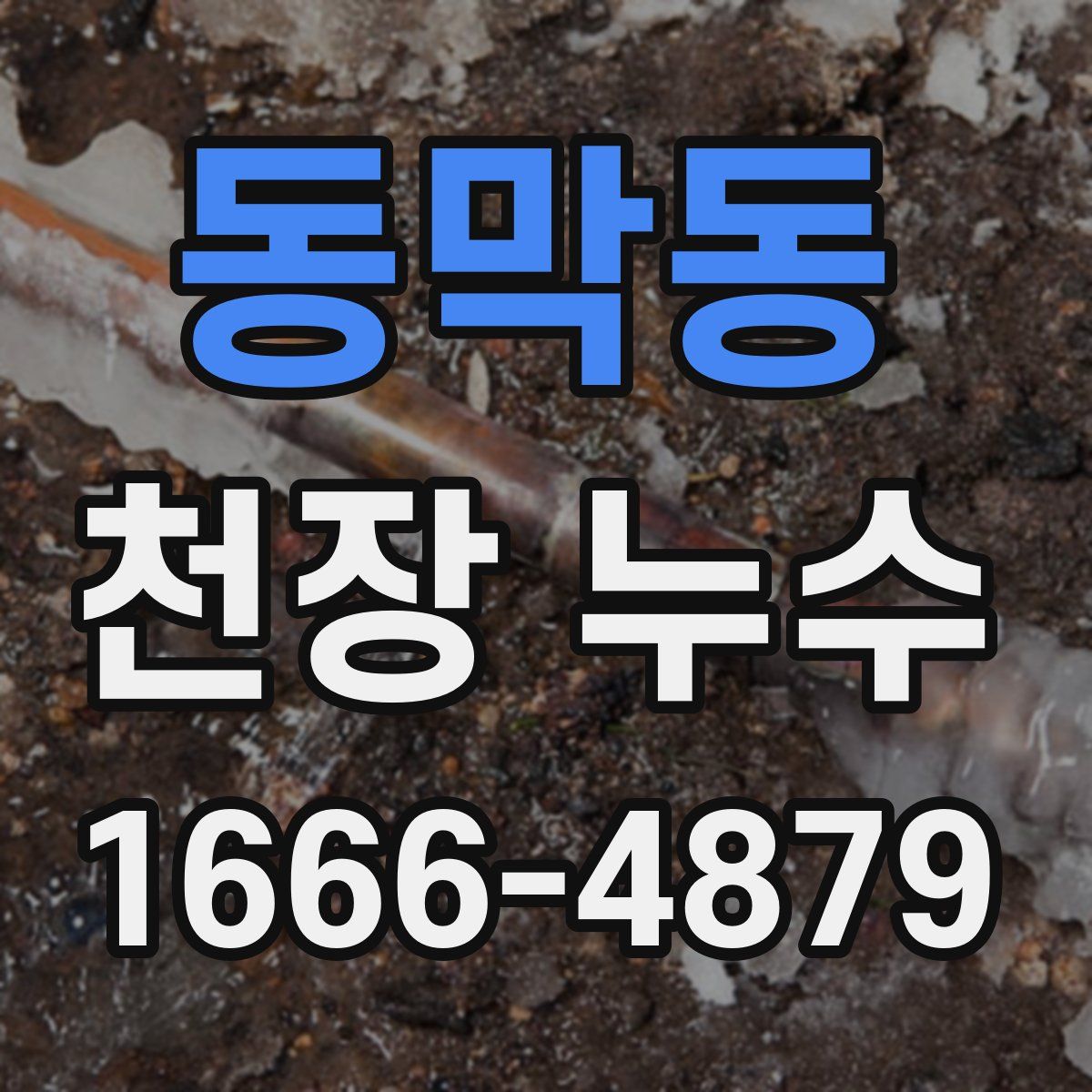 동막동 천장 누수