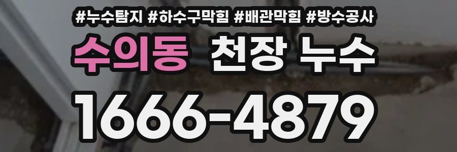 수의동 천장 누수